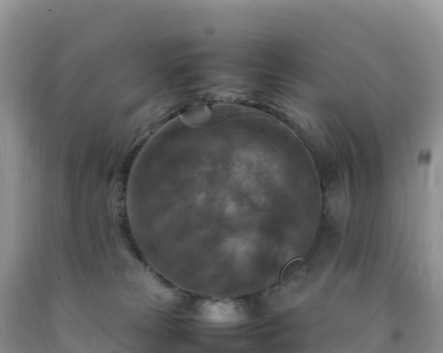 X0000092090181200709191253