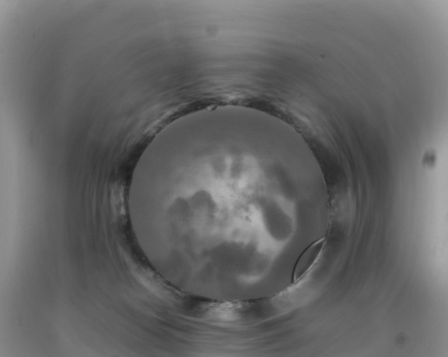 X0000092090182200709191253