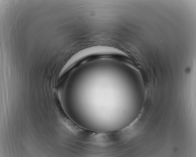 X0000092090186200709191253