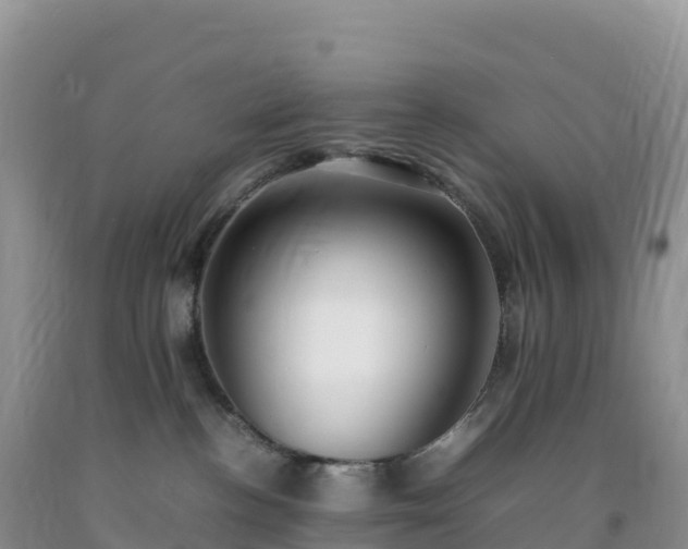 X0000092090188200709191253