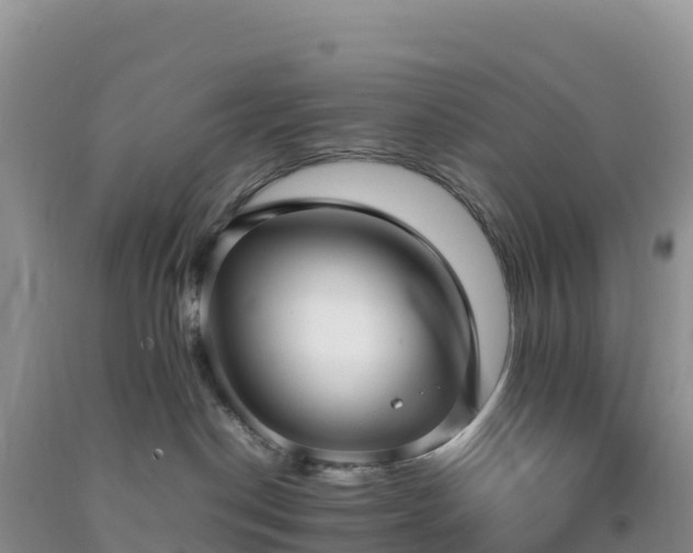 X0000092090190200709191253