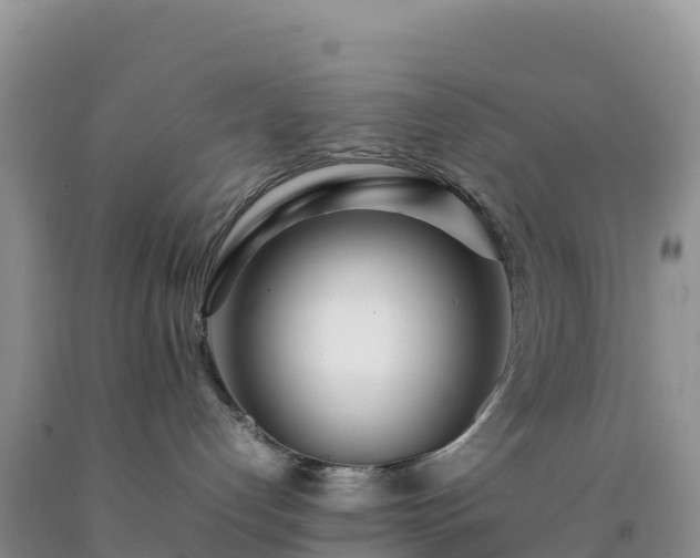 X0000092090192200709191253
