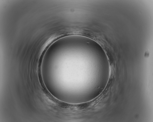 X0000092090195200709191252