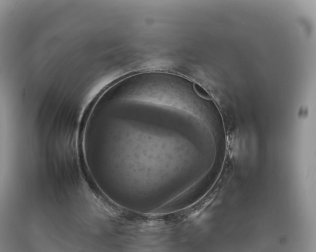 X0000092090196200709191252