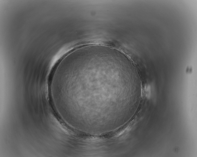 X0000092090198200709191252