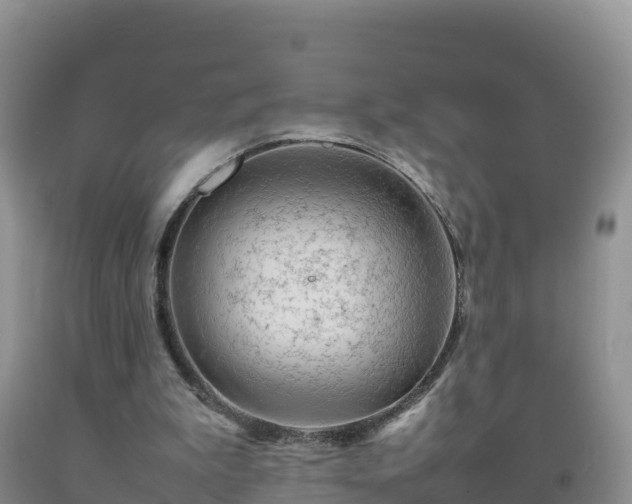 X0000092090199200709191252