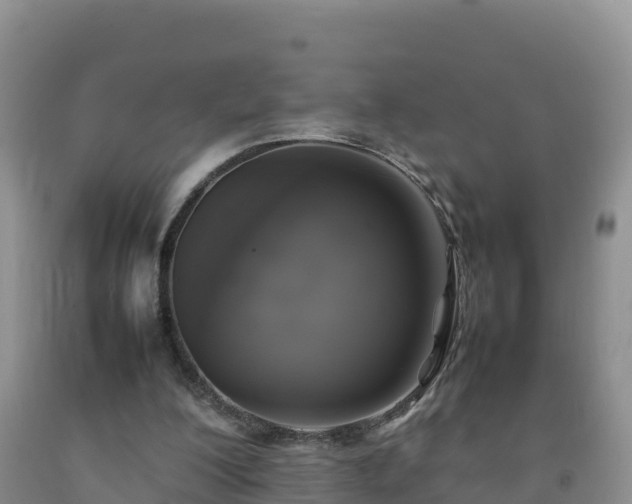X0000092090200200709191252