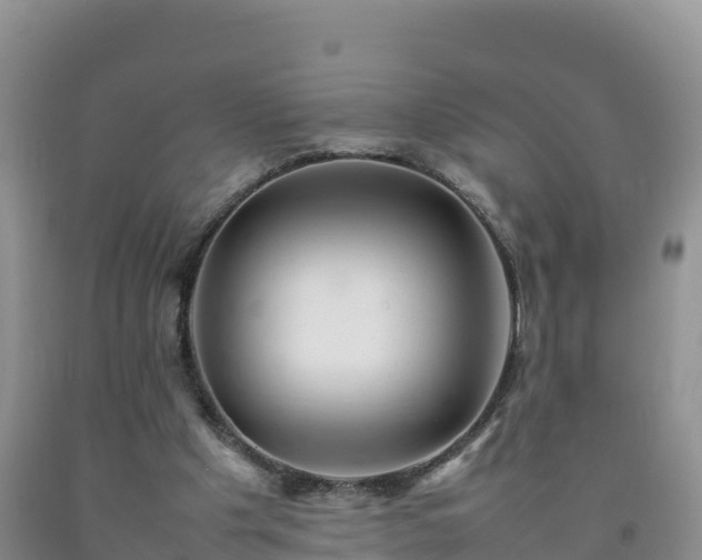 X0000092090201200709191252