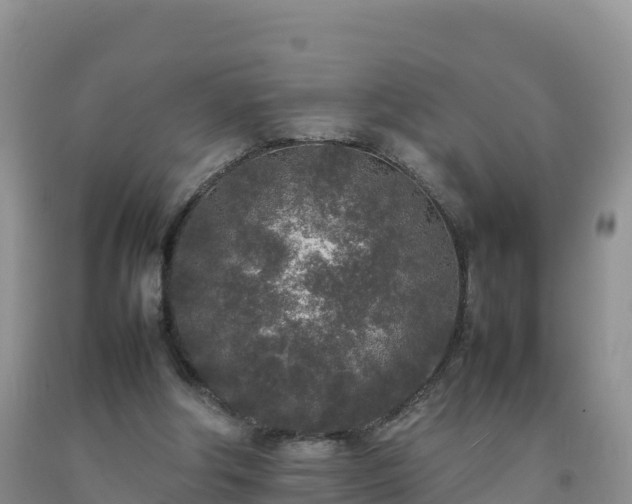 X0000092090202200709191252