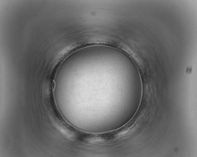 X0000092090203200709191252