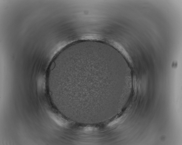 X0000092090204200709191252