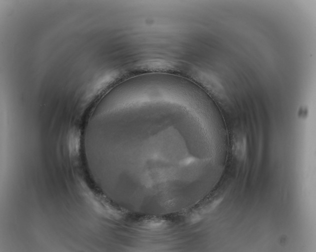 X0000092090206200709191252