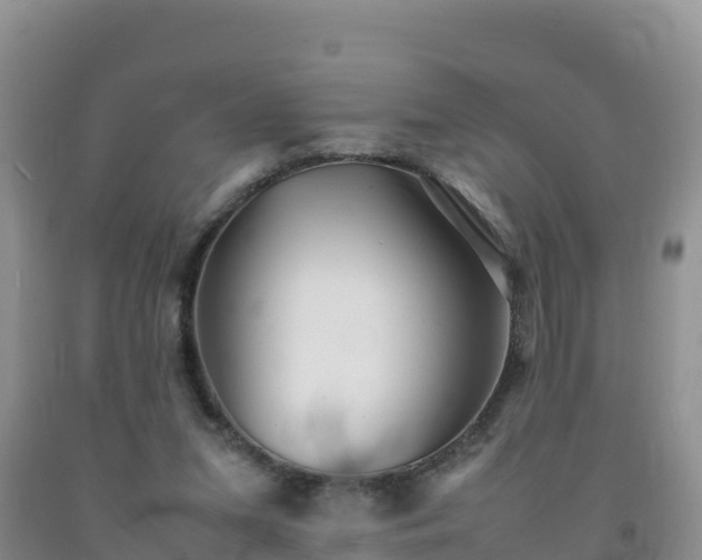 X0000092090207200709191252