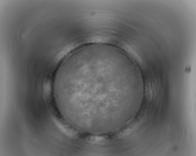 X0000092090208200709191252