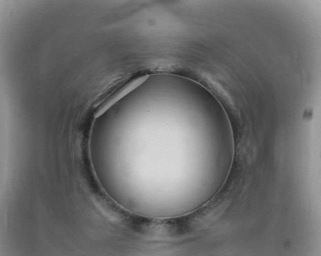 X0000092090209200709191252
