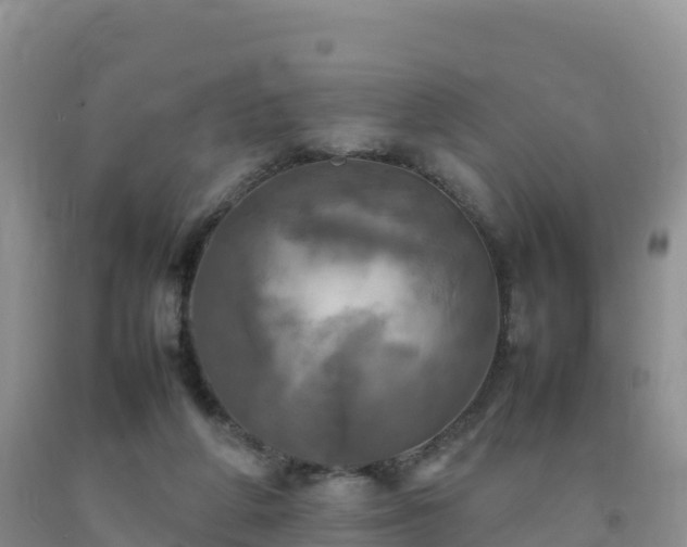 X0000092090210200709191252