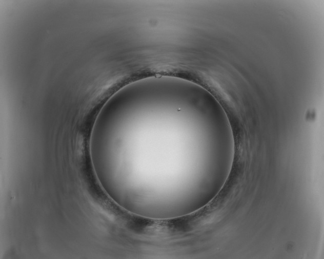 X0000092090211200709191252