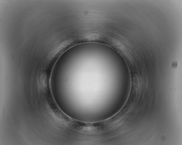 X0000092090212200709191252