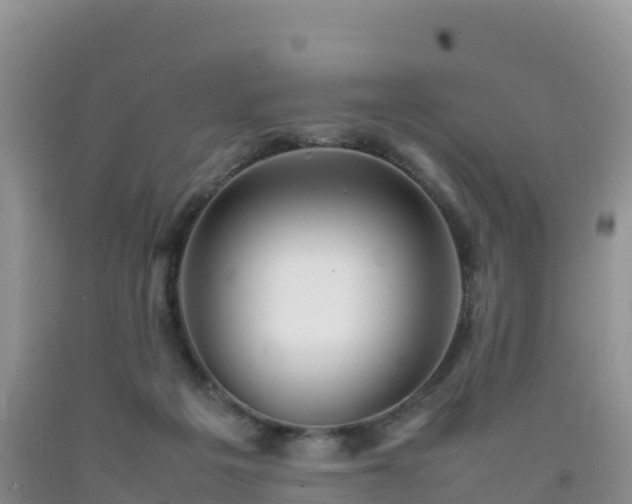 X0000092090217200709191252