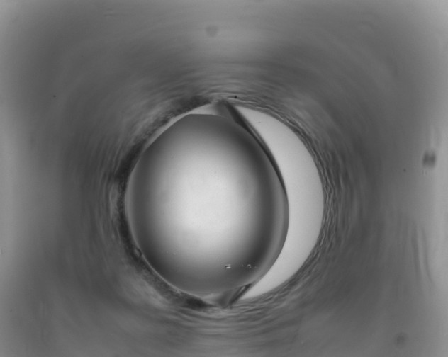 X0000092090219200709191252