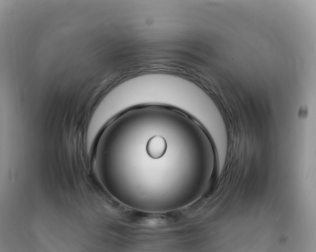 X0000092090220200709191252
