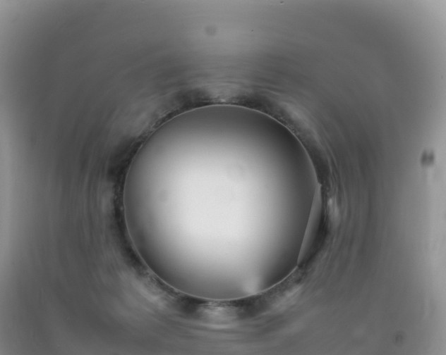 X0000092090221200709191252