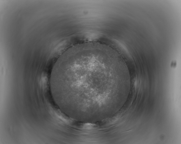 X0000092090222200709191252