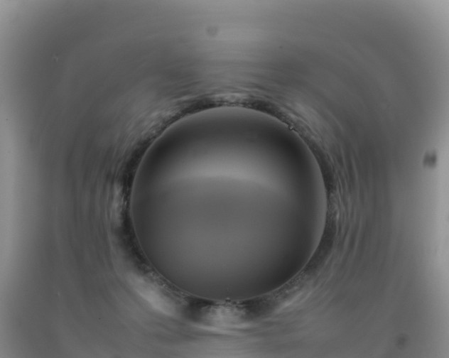 X0000092090223200709191252