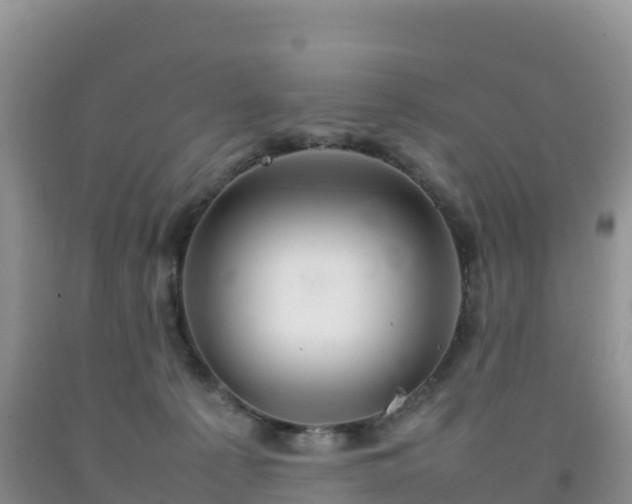 X0000092090225200709191252