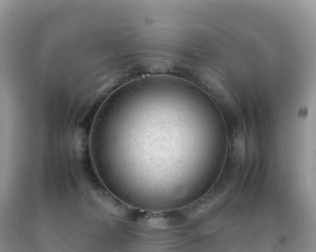 X0000092090228200709191252