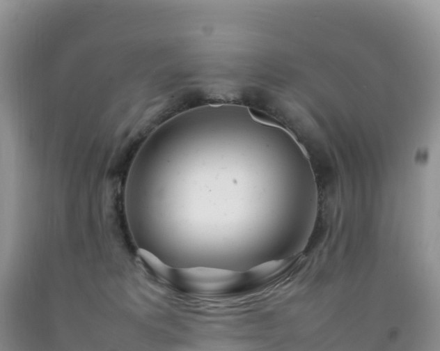X0000092090229200709191252