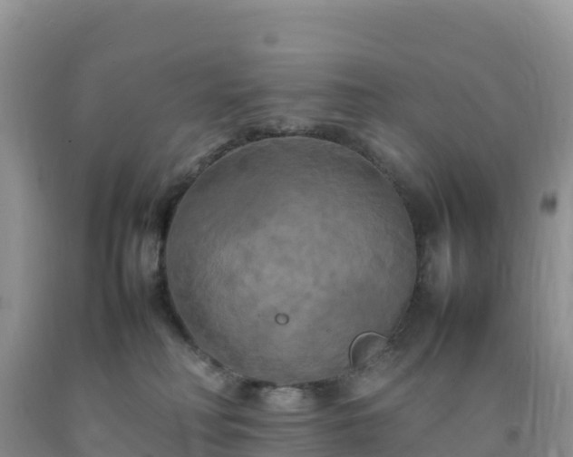 X0000092090230200709191252