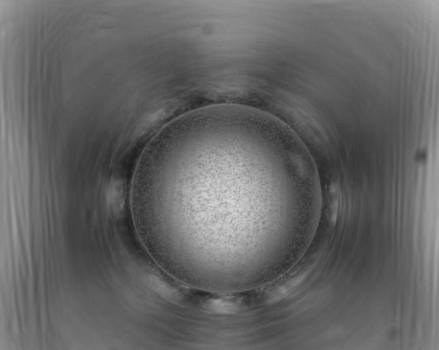 X0000092090232200709191252