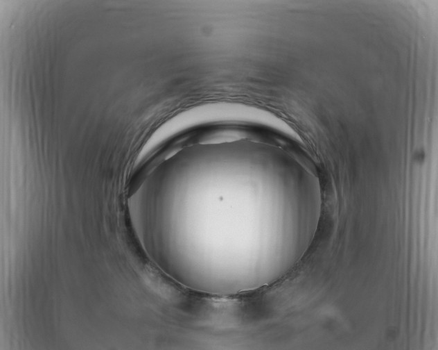 X0000092090233200709191252