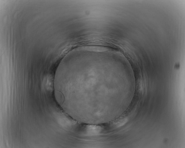 X0000092090234200709191252