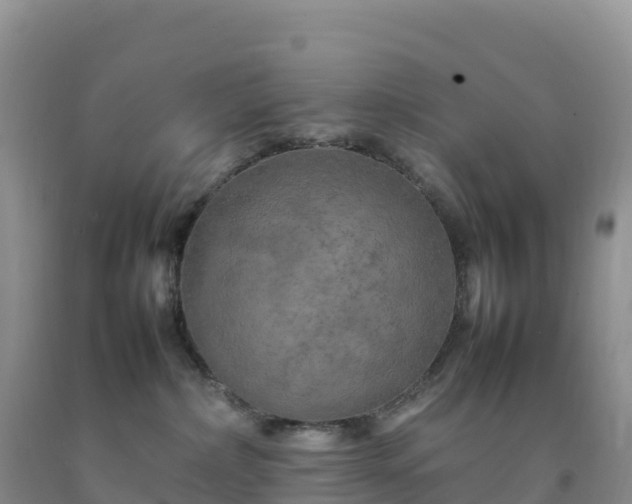 X0000092090236200709191252
