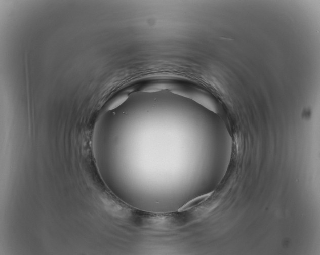 X0000092090237200709191252
