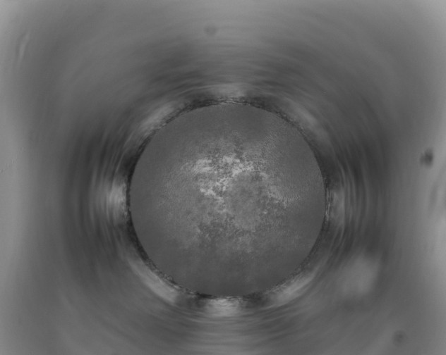 X0000092090238200709191252