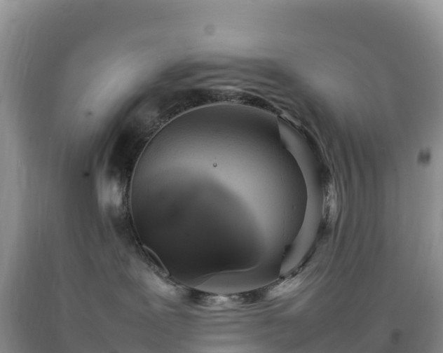 X0000092090239200709191252