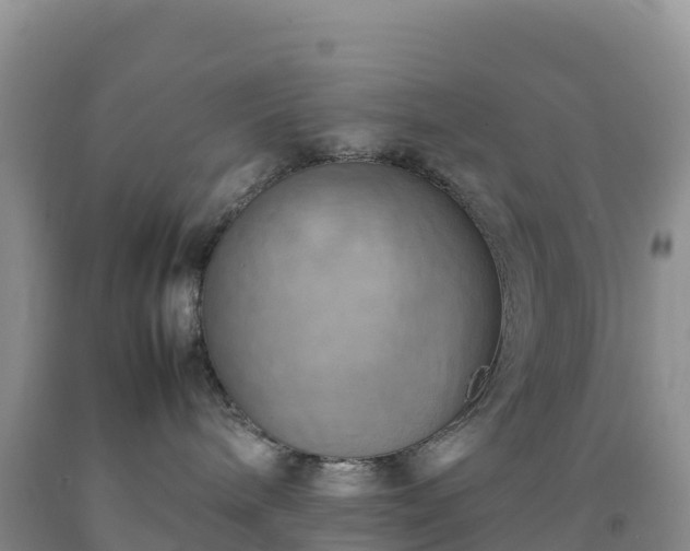 X0000092090240200709191252