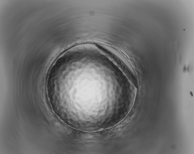 X0000092090241200709191251