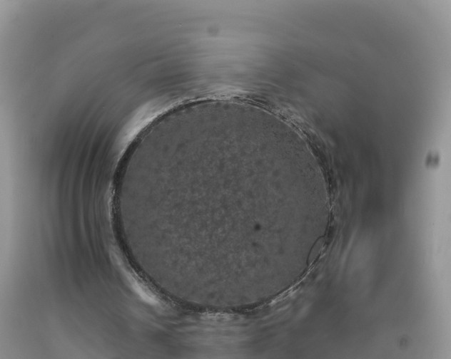X0000092090242200709191251