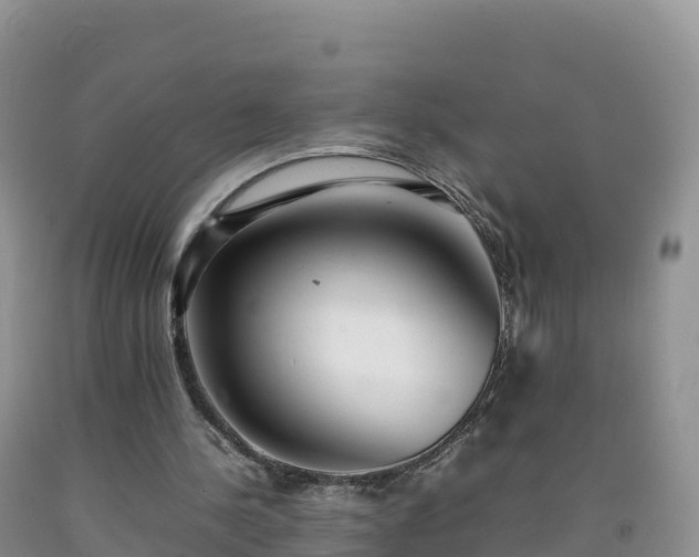 X0000092090244200709191251