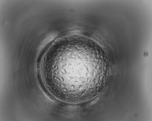 X0000092090245200709191251