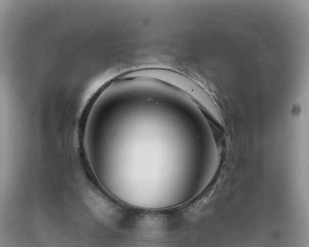 X0000092090248200709191251