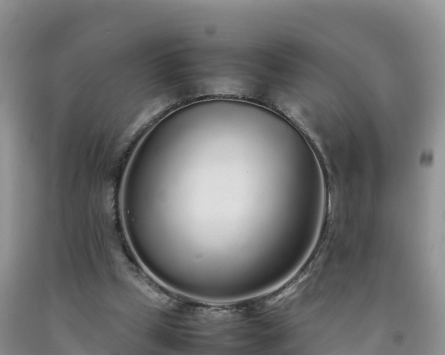 X0000092090249200709191251