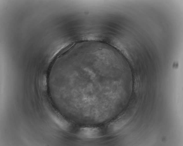 X0000092090251200709191251