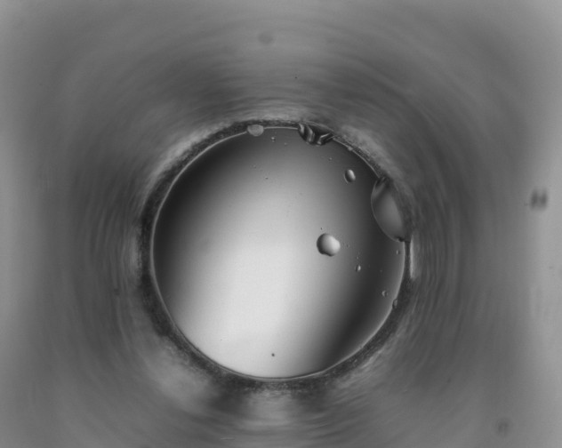 X0000092090252200709191251