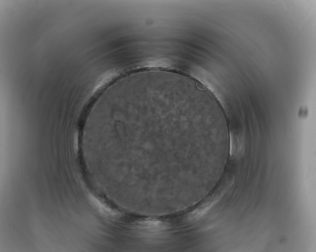 X0000092090253200709191251