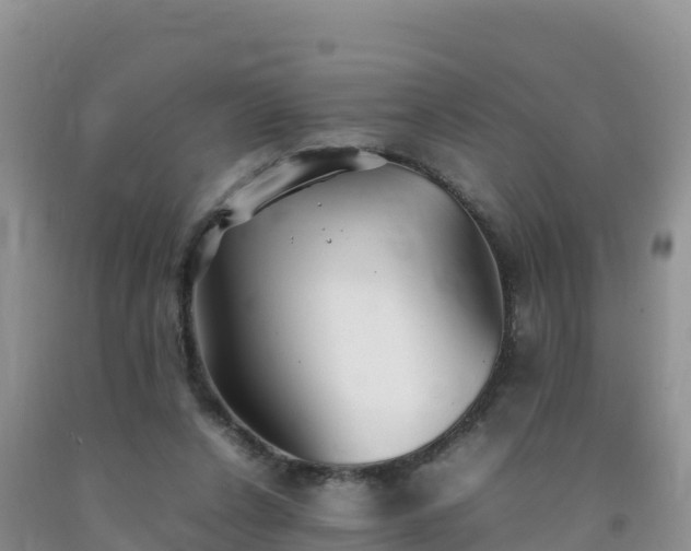 X0000092090256200709191251